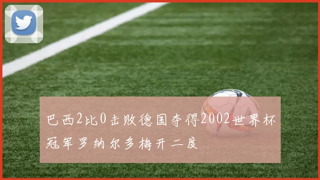 巴西2比0击败德国夺得2002世界杯冠军罗纳尔多梅开二度