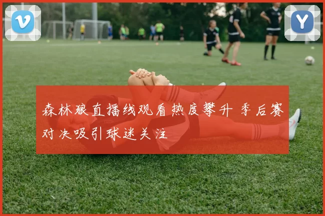 森林狼直播线观看热度攀升 季后赛对决吸引球迷关注
